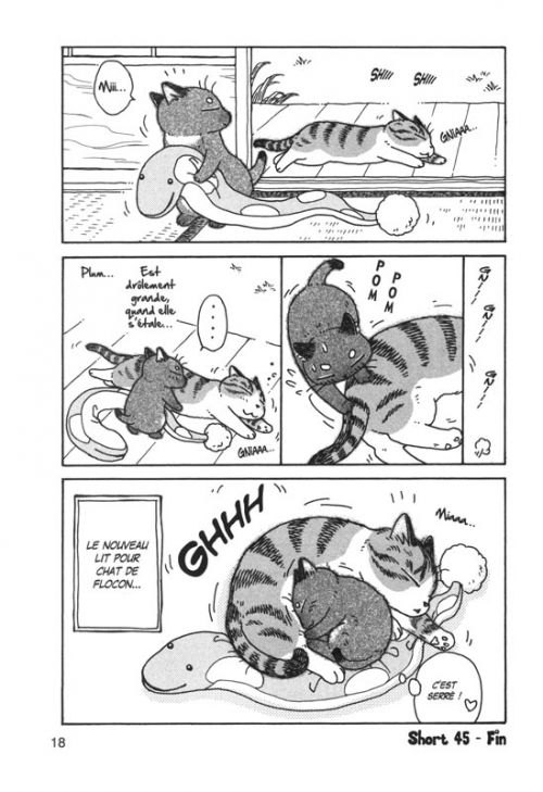 Plum Un Amour De Chat T10 Manga Chez Soleil De Hoshino