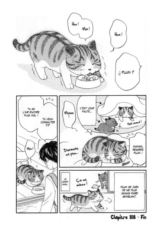 Plum Un Amour De Chat T17 Manga Chez Soleil De Hoshino